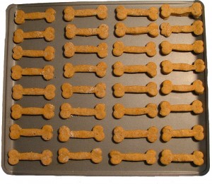 Dog biscuits