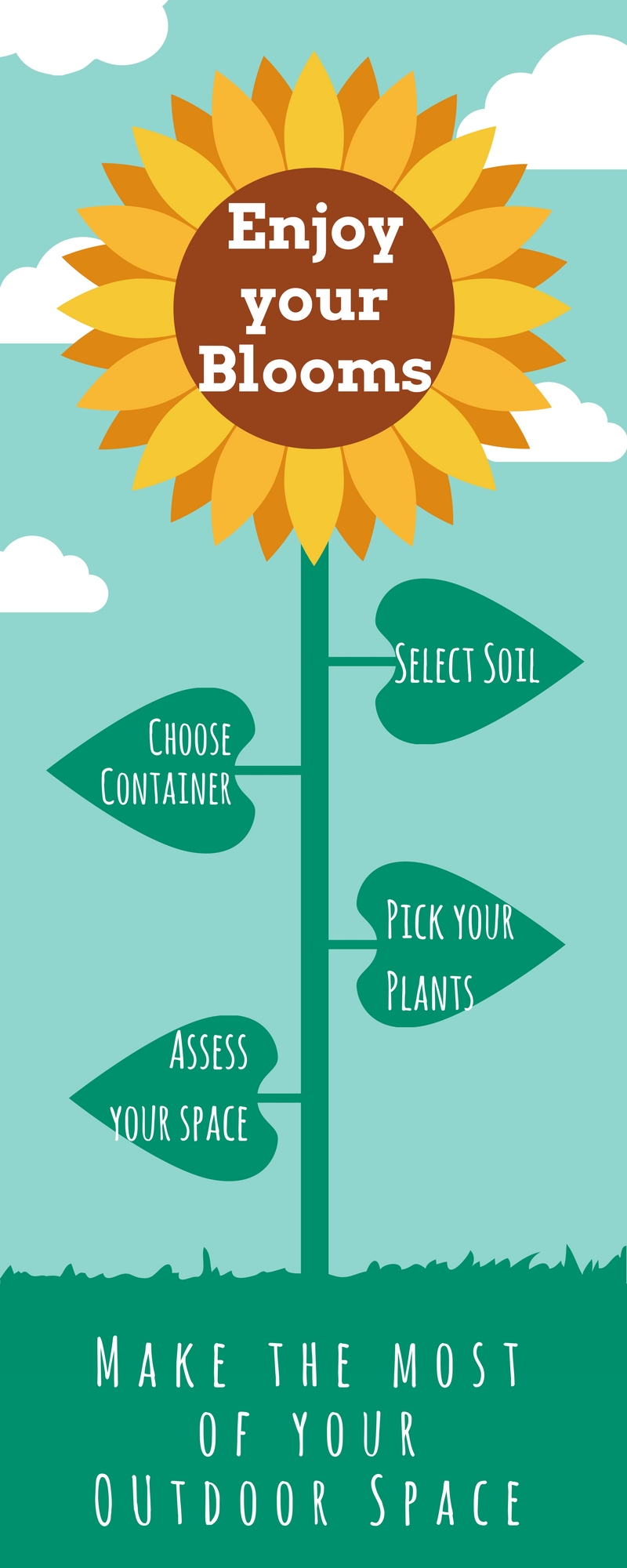 container garden infographic