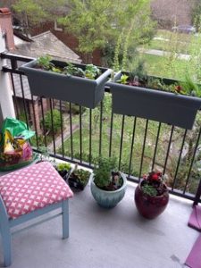 container garden on balcony