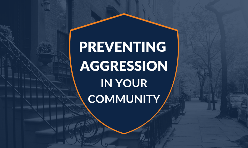 Preventing Aggression in Your Community