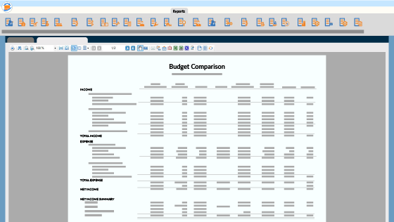 RM Budgeting Screenshot