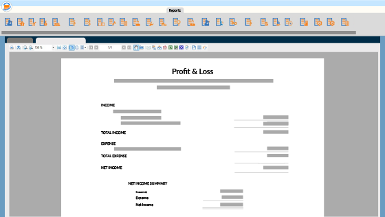 RM Financial Reporting Screenshot