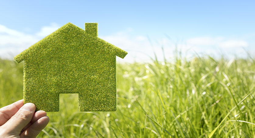 Green House infront of grass