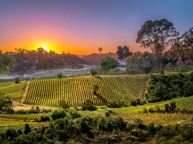 Napa Valley California